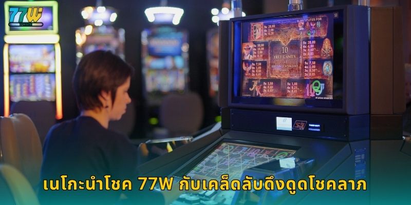 เนโกะนำโชค 77w กับเคล็ดลับดึงดูดโชคลาภ