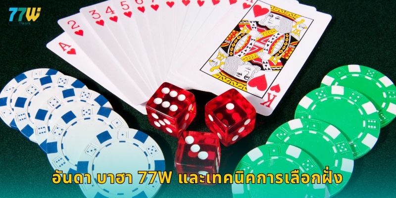อันดา บาฮา 77w และเทคนิคการเลือกฝั่ง
